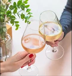Två personer skålar med glas vitt och rosévin vid ett bord, med en vas med gröna kvistar i bakgrunden.